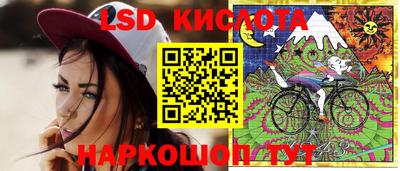 крисы Будённовск