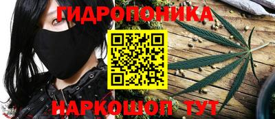 крисы Будённовск