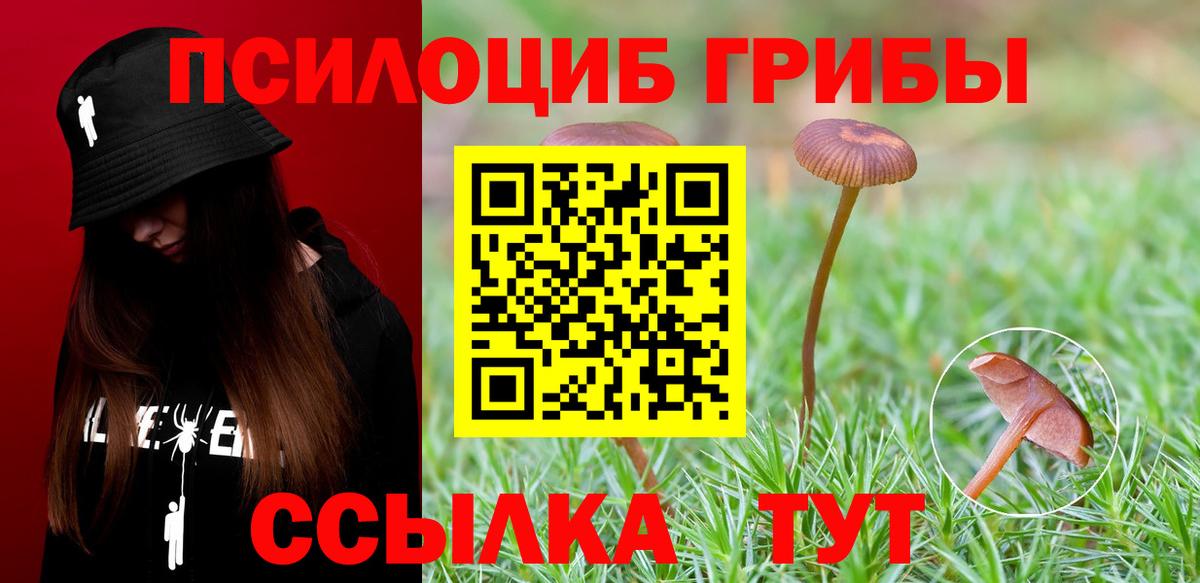 Галлюциногенные грибы Psilocybine cubensis Слободской