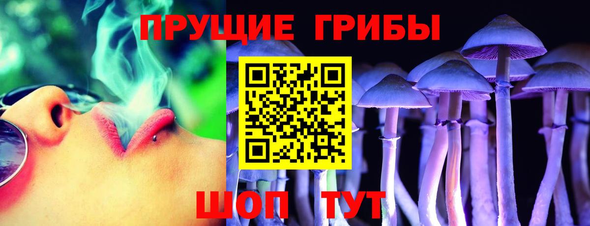 Слободской  Галлюциногенные грибы MAGIC MUSHROOMS  Вход с VPN  Псилоцибиновые грибы мицелий 